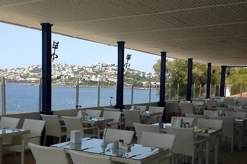 Club Blue White Feriested 4*