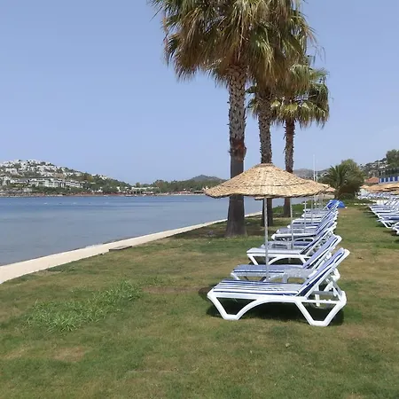 Resort Club Blue White