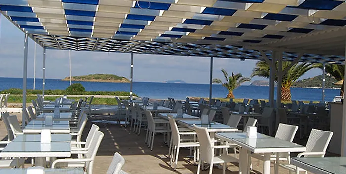 Club Blue White 4* Turgutreis