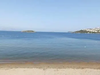 Resort Club Blue White