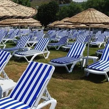 Club Blue White 4*