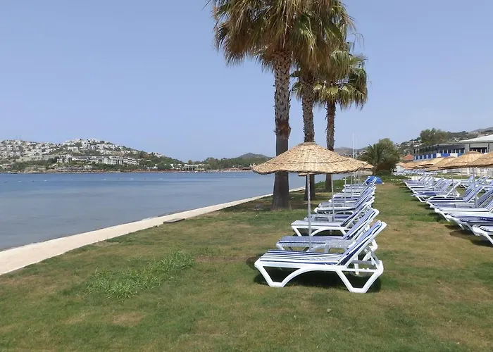 Resort Club Blue White